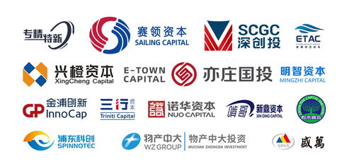 光刻機巨頭ASML稱中企可能侵權，中企回應 關鍵技術完全自研，投資管理合規